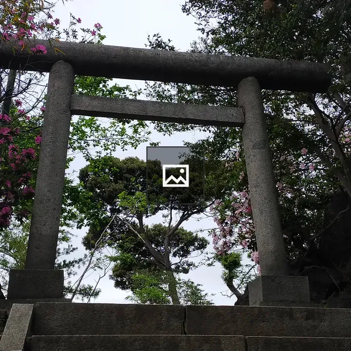 Torii Gate Among Trees