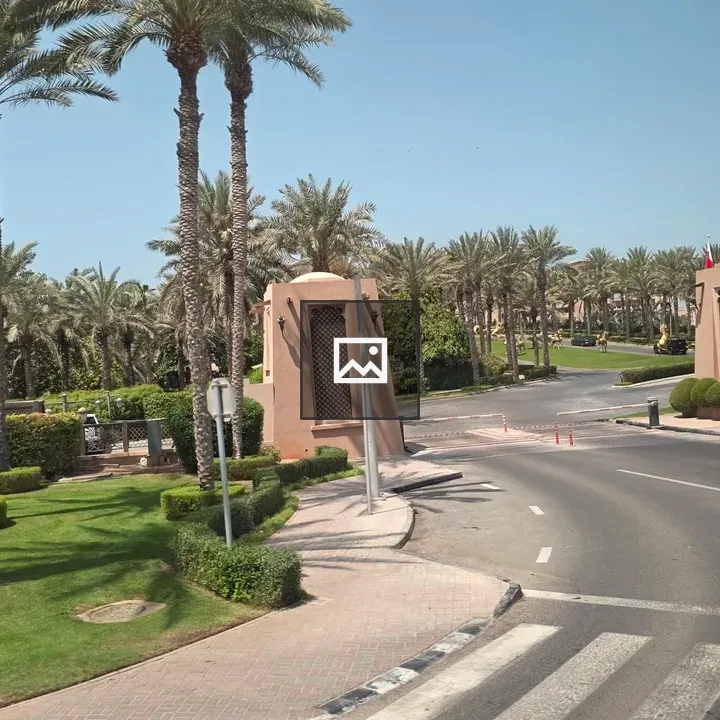 Entrance road with palm trees