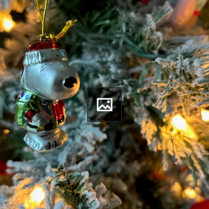 Christmas ornament in tree branches