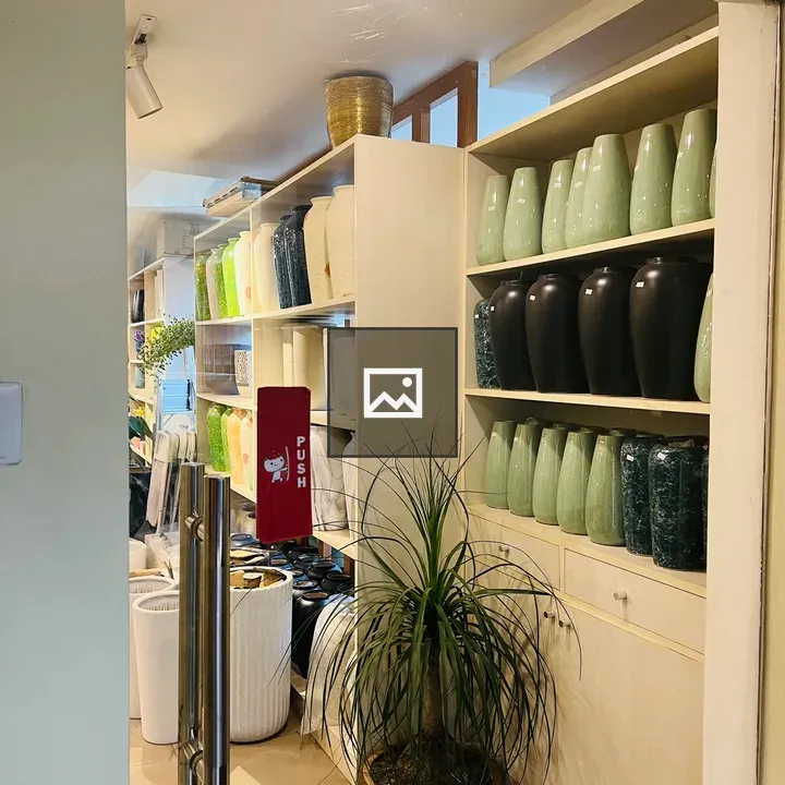 Store interior with shelves and plant