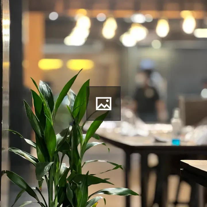 Indoor Plant in Portrait Shot