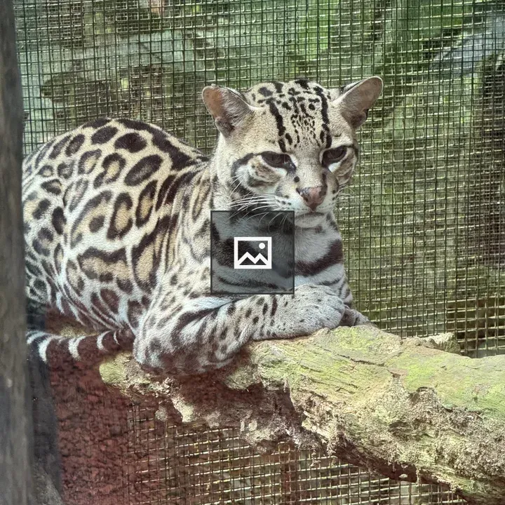 Elegant ocelot among greenery