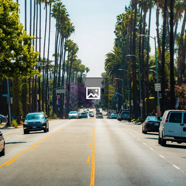 Hollywood Boulevard Scene