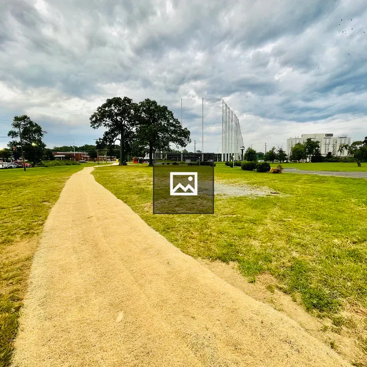 The new road at forest heights