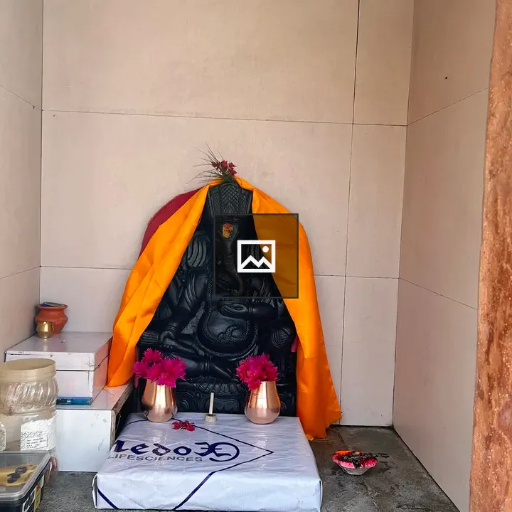 Ganesha Statue in Alcove