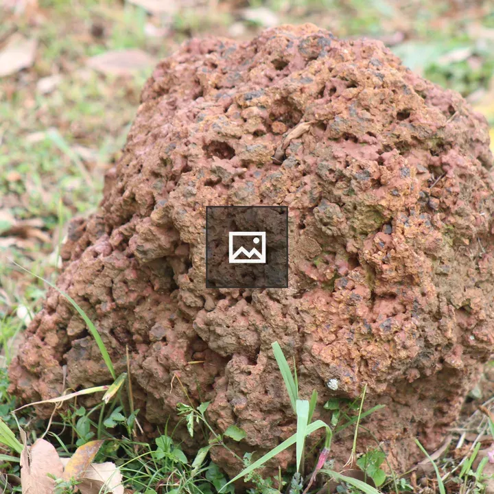 Rocky orange-brown rock in grass