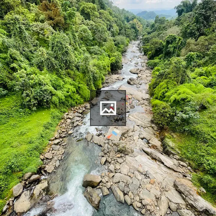 Chalippuzha River Scene