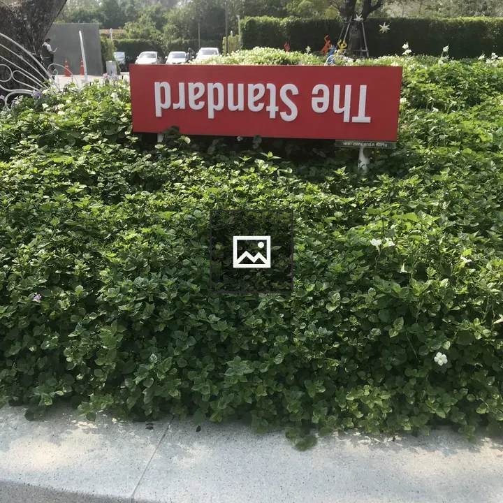 Hua Hin Thailand Grass Tree Sign