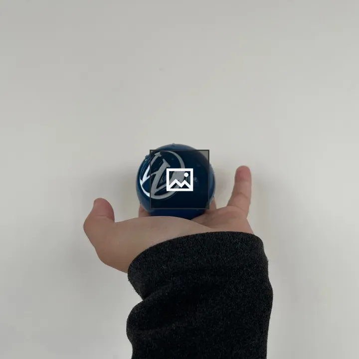WordPress Ball in Palm