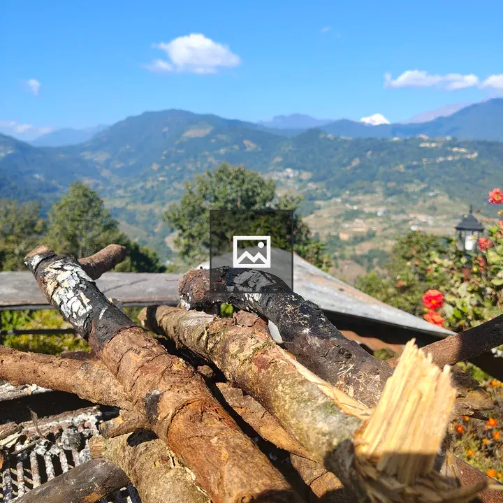 Firewood on Grate with Mountain View