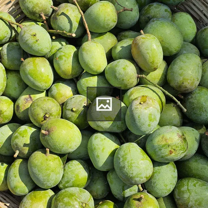 Basket of green mangoes