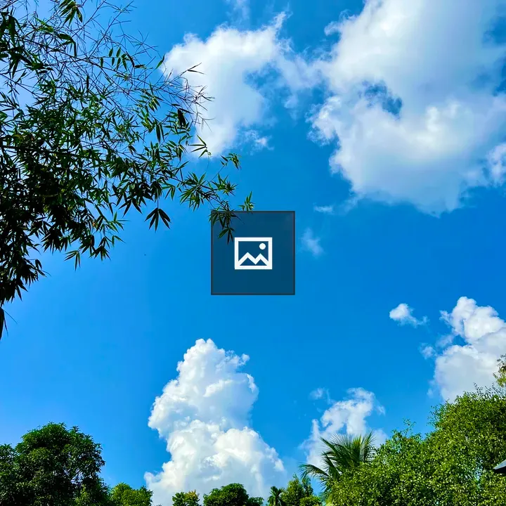 Sky and treetop foliage