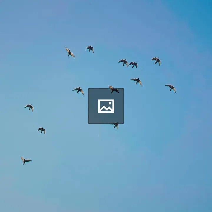 Birds Flying Under Blue Sky