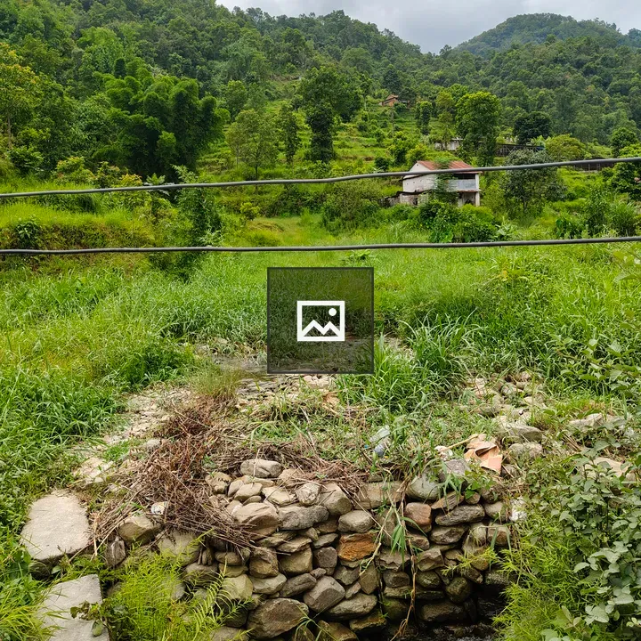 Stream and Stone Wall Landscape