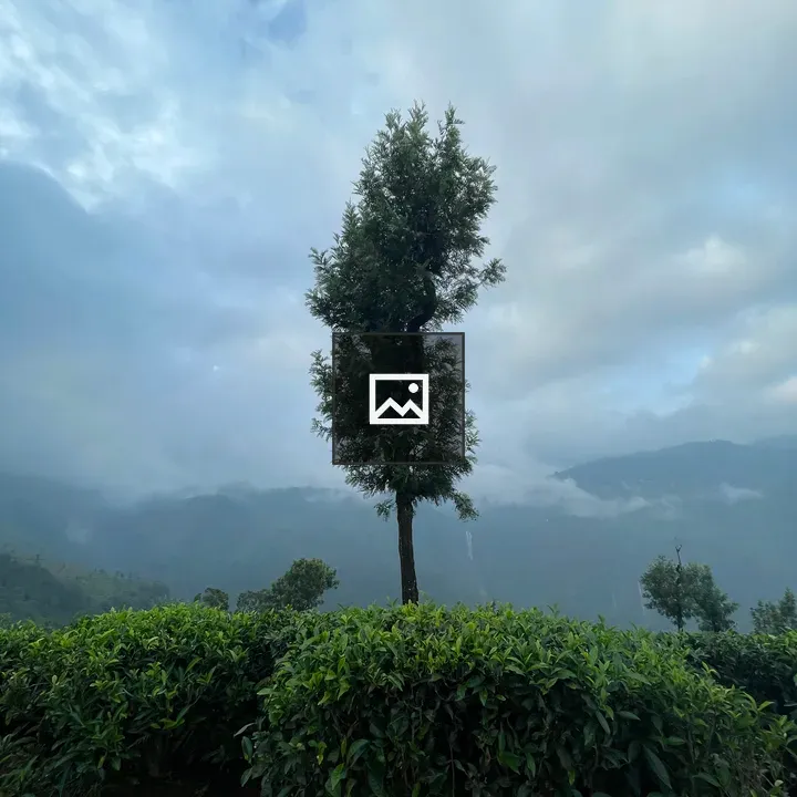 Tree with Mountain Backdrop