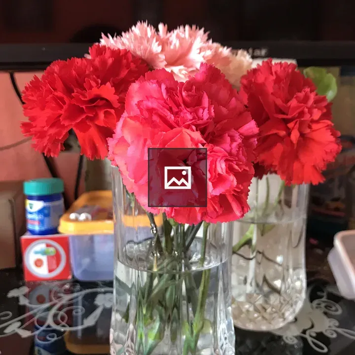 Red and White Plants in Vase