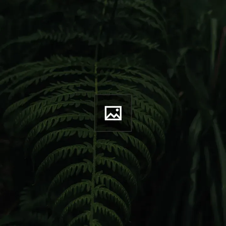 Lively green leaves at night