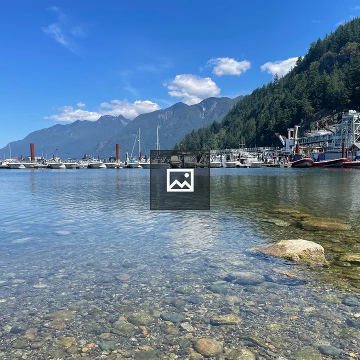 Boats at Horseshoe Bay