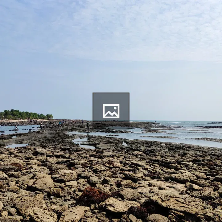 Flat coral at low tide