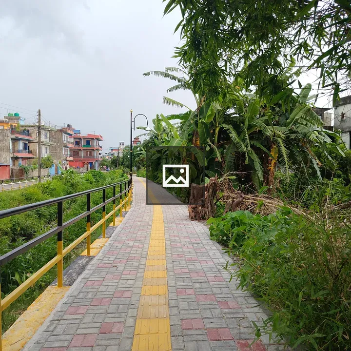 Yellow tactile walkway with greenery