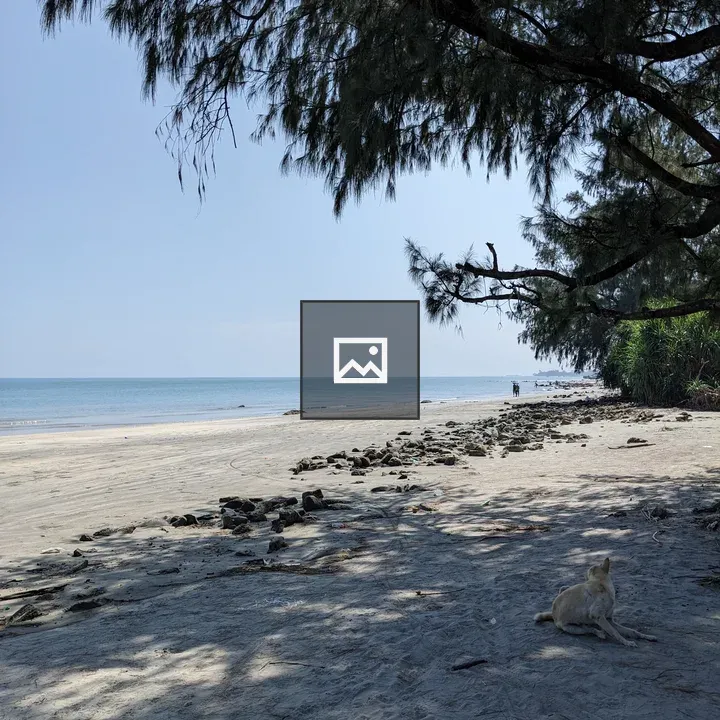Beach scene with dog on St. Martin's Island
