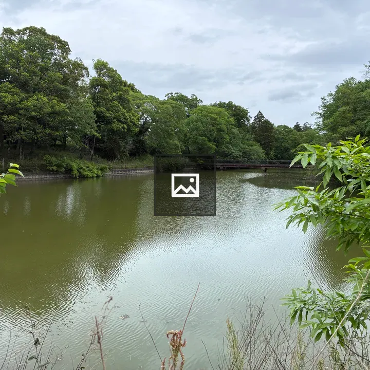 Wooden bridge over Harada Pond
