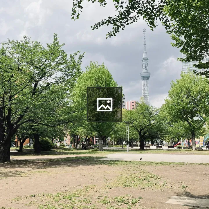 Okyo’s Skytree Tower from Park