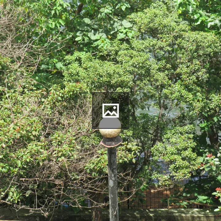 White spherical light on dark pole