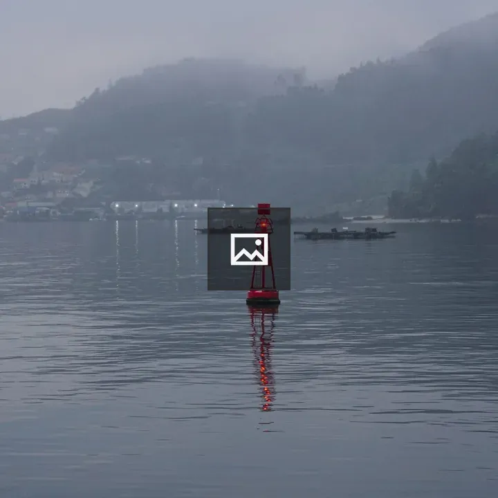 Red buoy on calm water