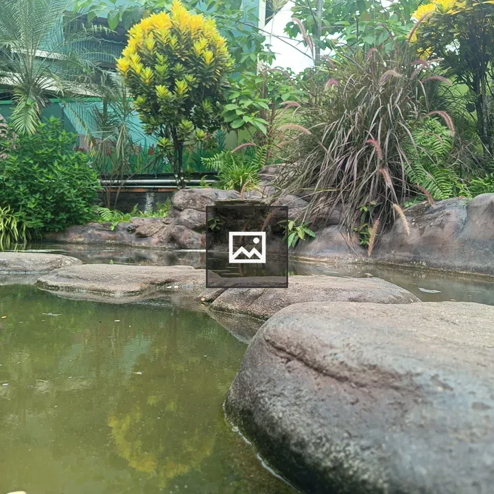 Small steps over pond with rocks