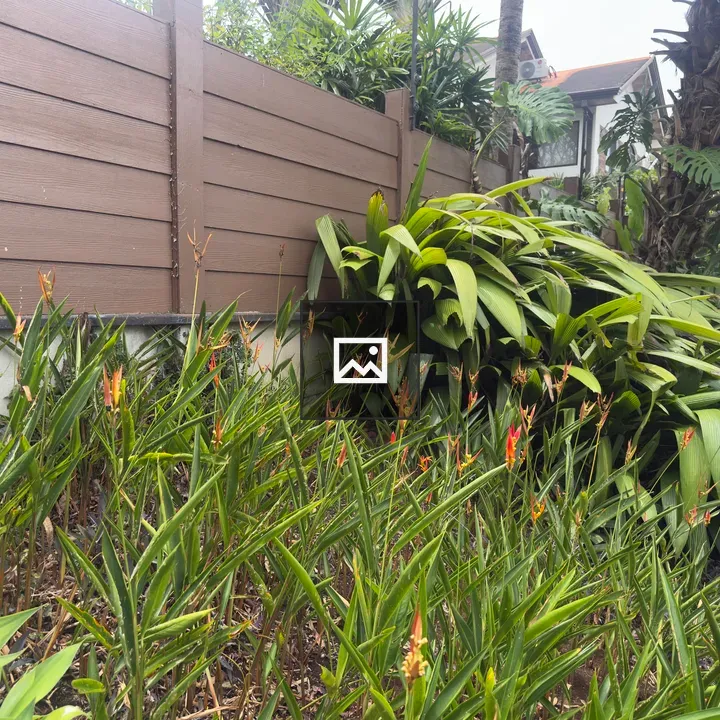 Garden bed with tall green plants and orange flowers
