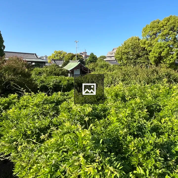 Lush green garden with trees