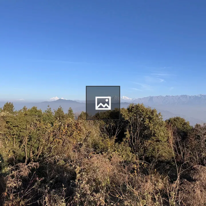 Forest hilltop with distant mountains