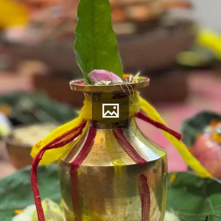 Brass Pot on Rice with Green Leaf