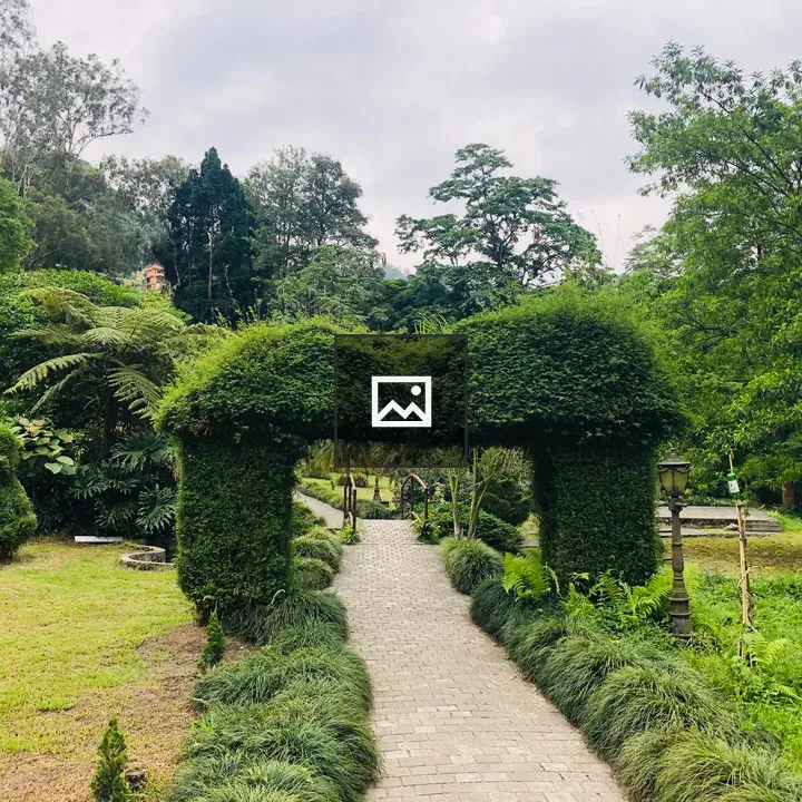 Plants gate in Sikkim