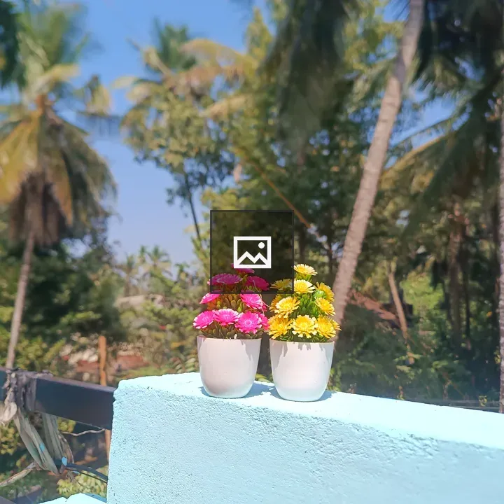 Two Flower Pots with Red and Yellow Blooms