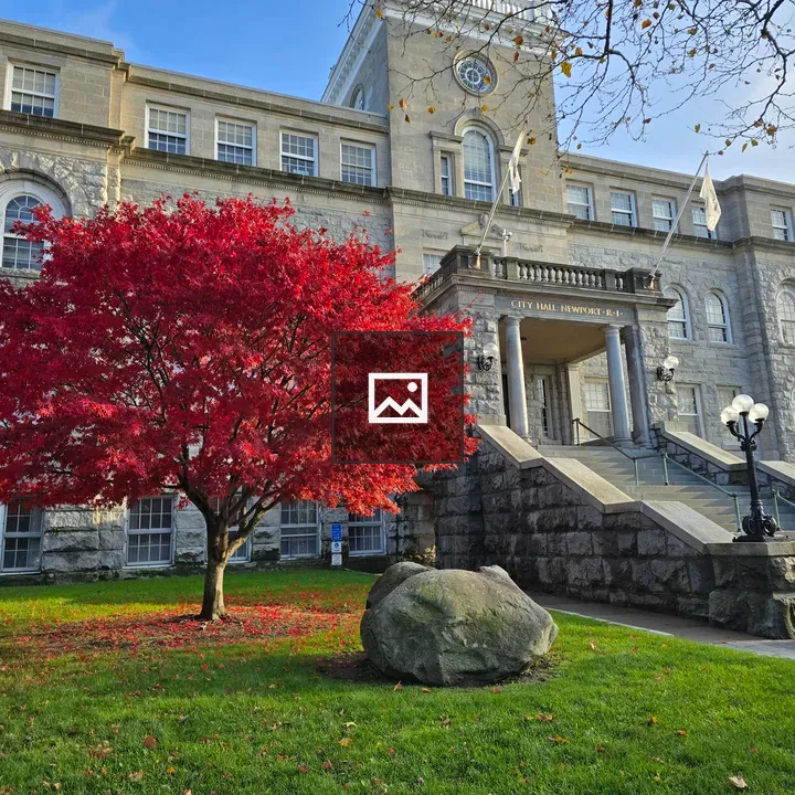 Red Tree Before City Hall