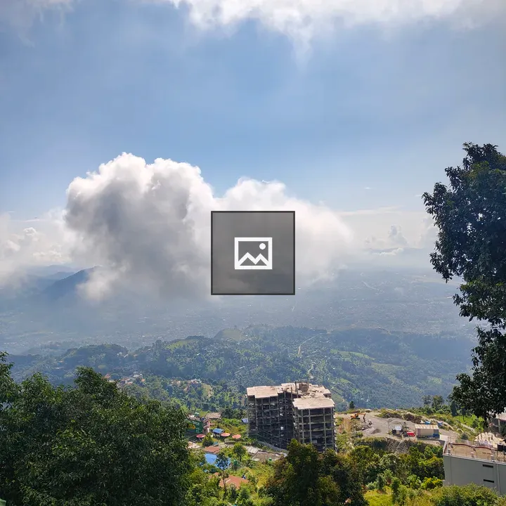 Hillside view with blue roofs