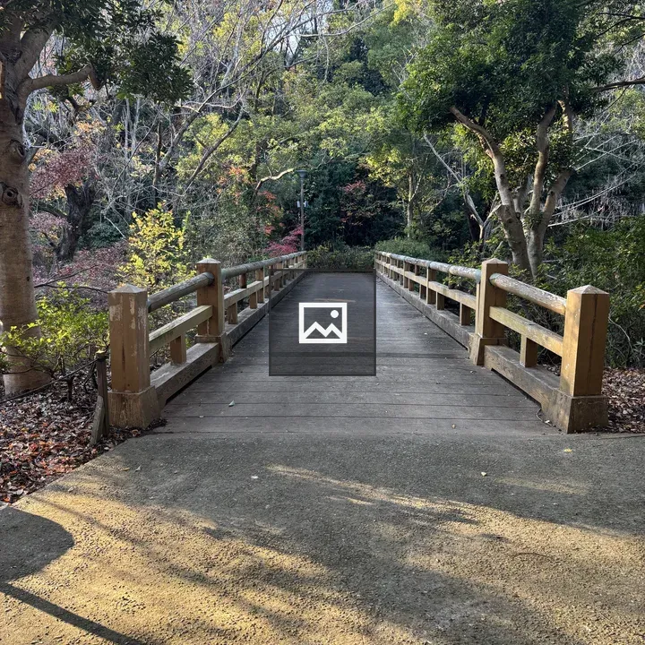 Wooden bridge among lush trees
