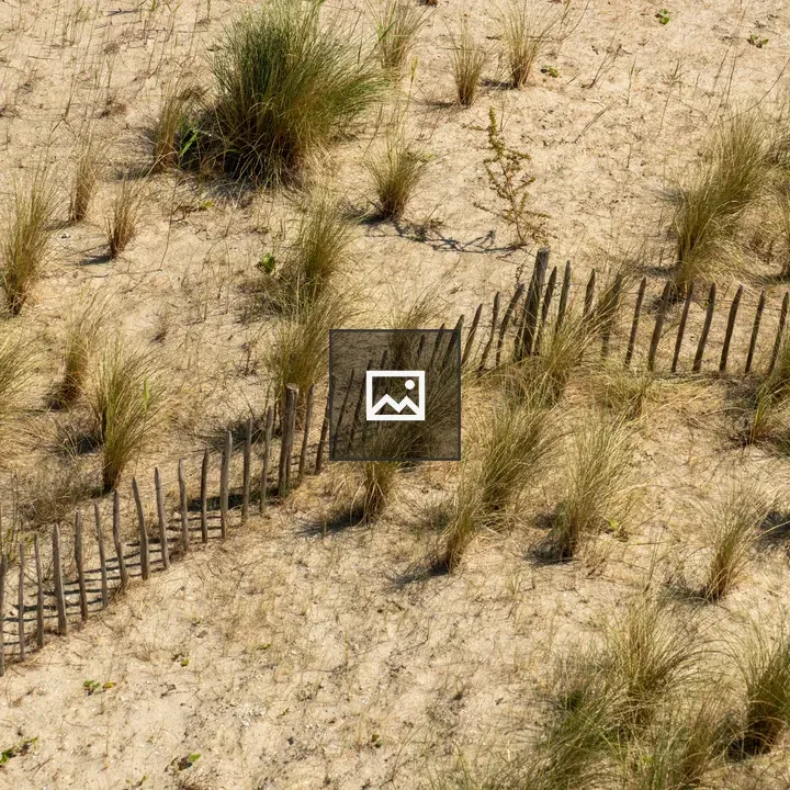 Picket fence in dune landscape