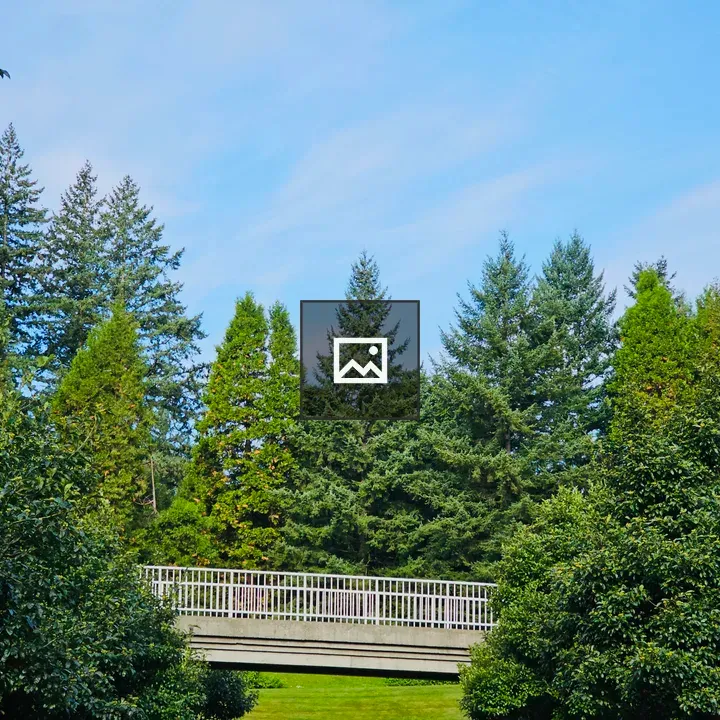Pedestrian bridge in a forest