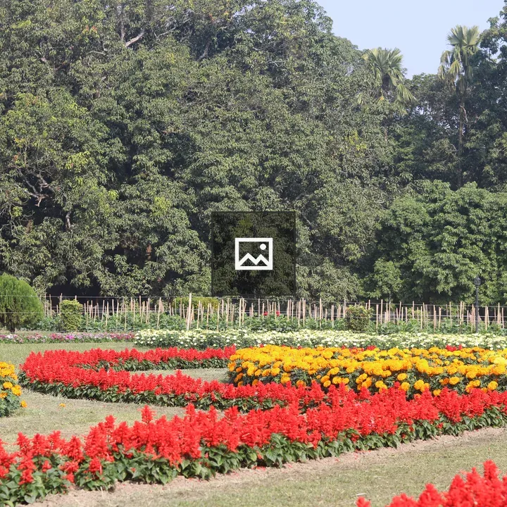 Flower garden near a forest