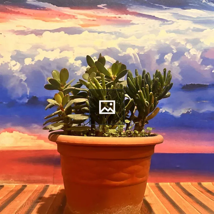Succulent Pot on Wood Surface