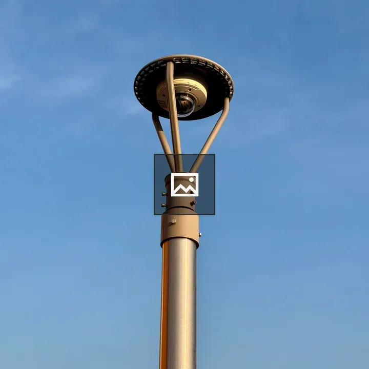 Surveillance camera on light pole