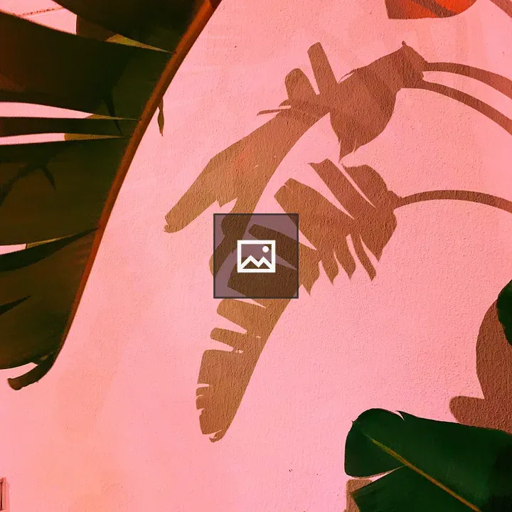 Palm tree shadows