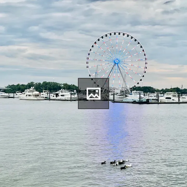 Duckies and Ferris Wheel