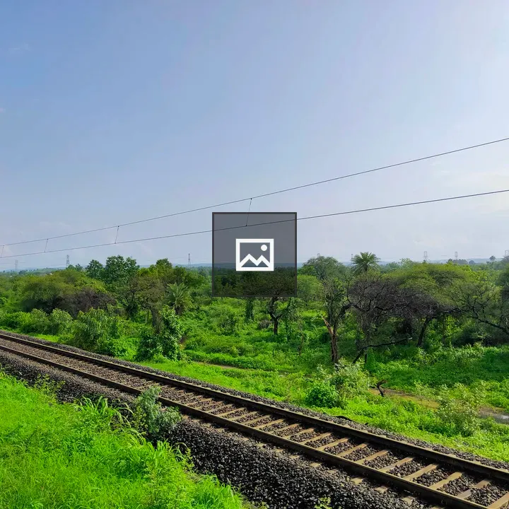Railway track with vegetation