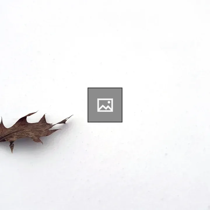 Leaf on White Snow