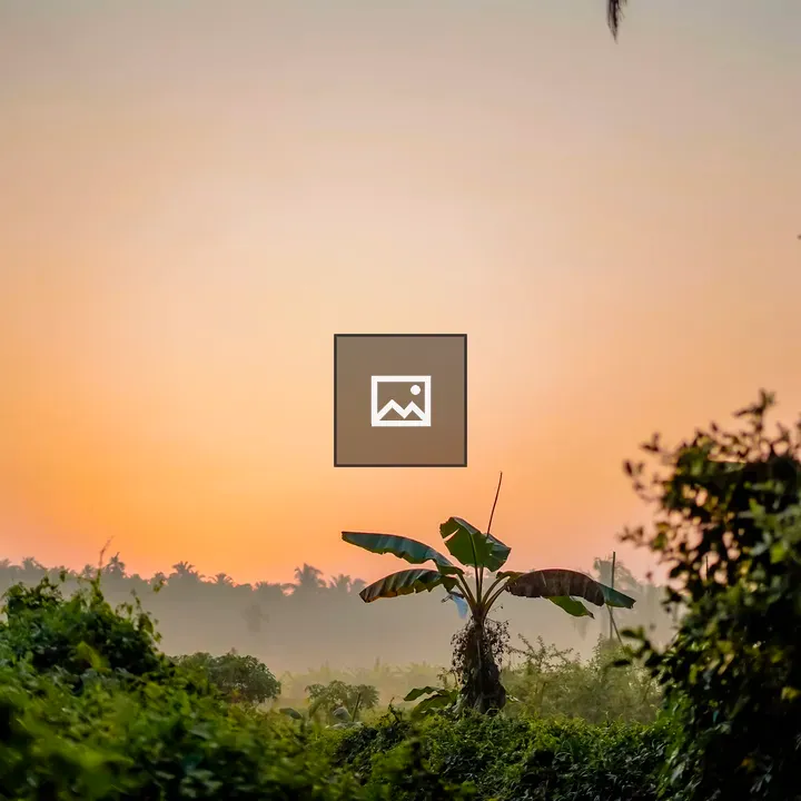 Village Morning Scene with Coconut Trees