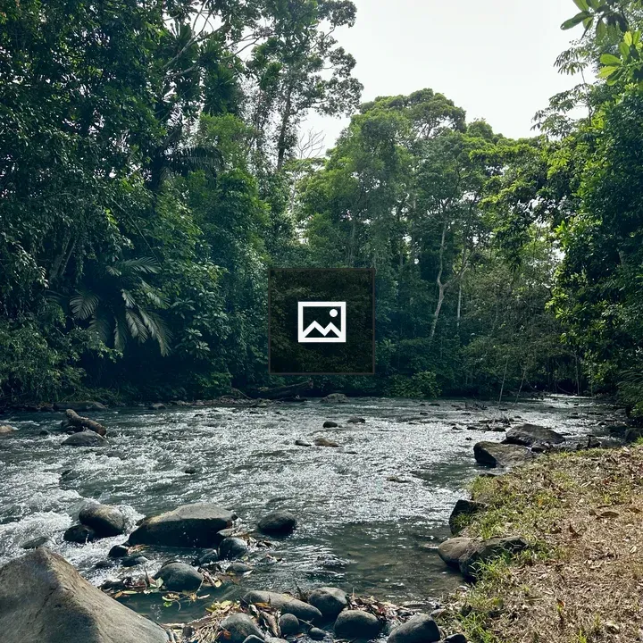River over rocks in jungle